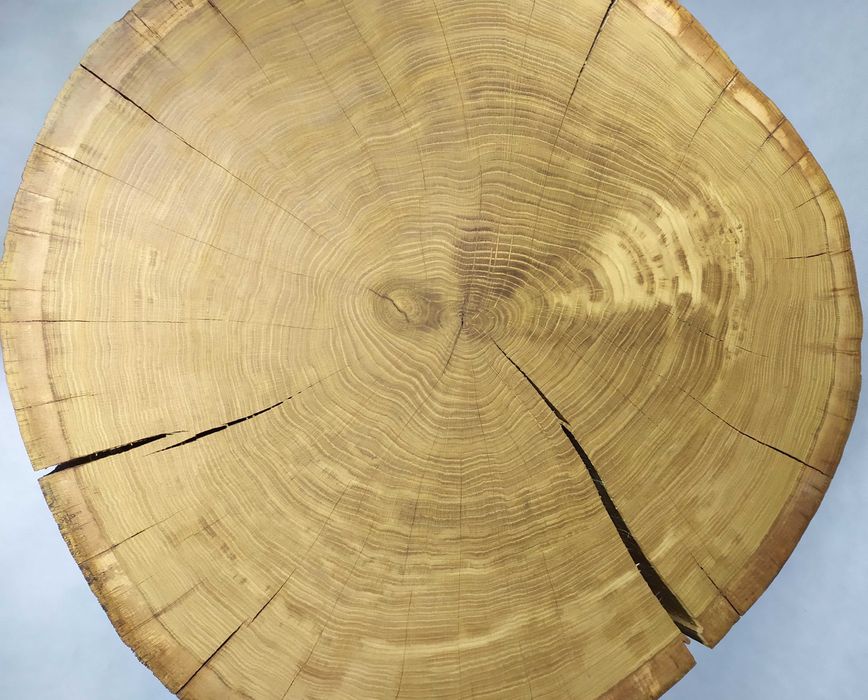 Stolik kawowy z plastra DĘBU 12 cm – UNIKAT – naturalny – GÓRALSKI