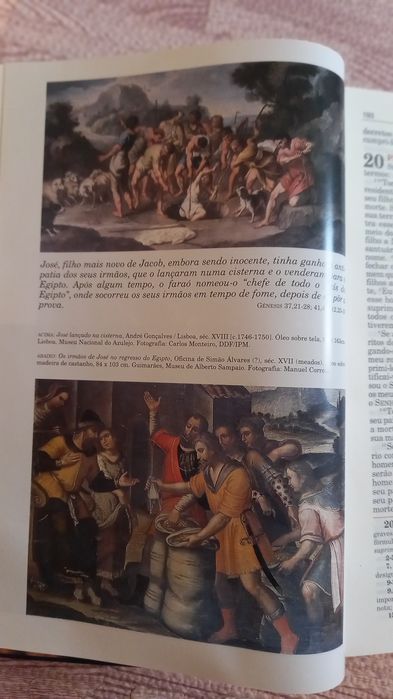Biblia sagrada ilustrada.
