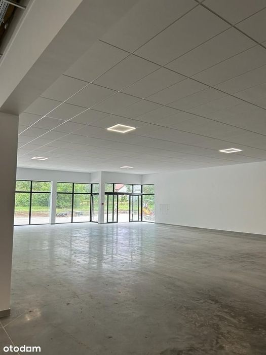 Zdjęcie 7