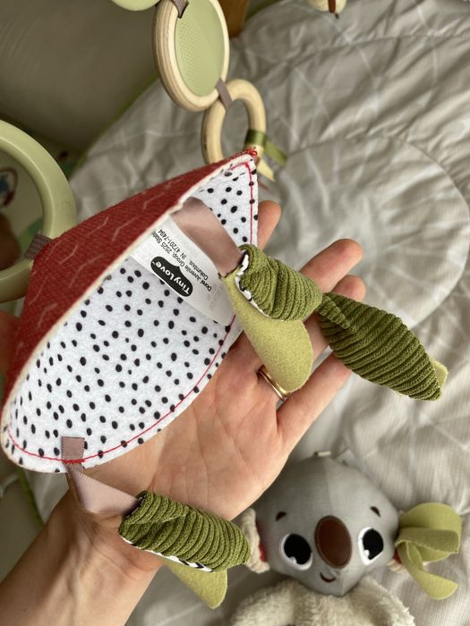 Ginasio Infantil TinyLove Luxe