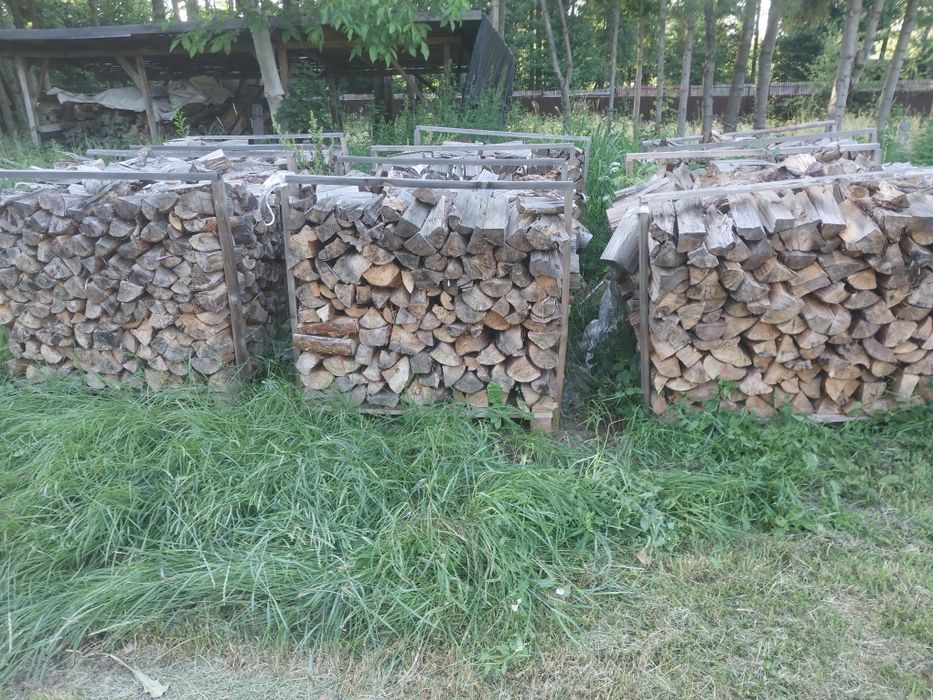Drzewo opałowe szuche, roczne