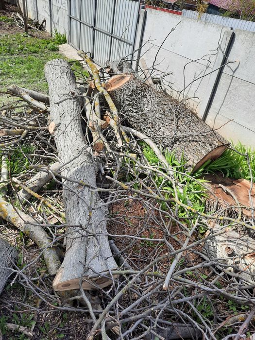 Продам 6 стовбурів горіха об'єм понад 2 м.куб.