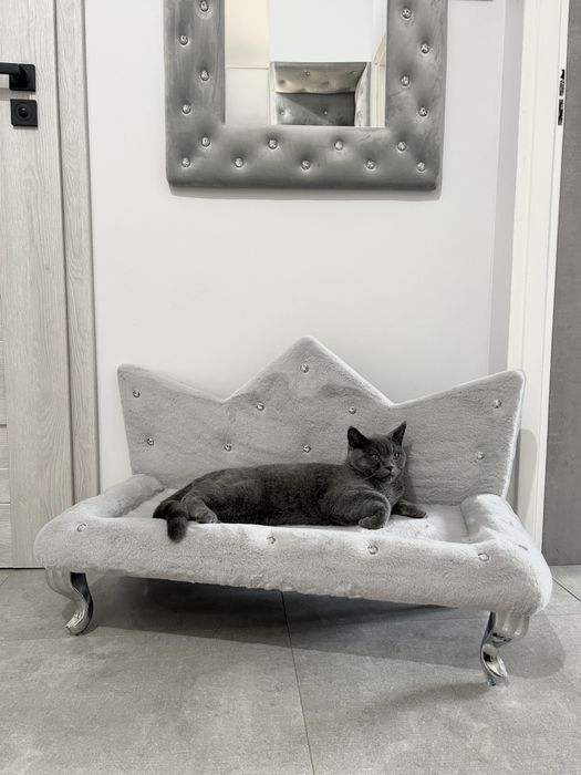 Legowisko sofa dla psa kota glamour