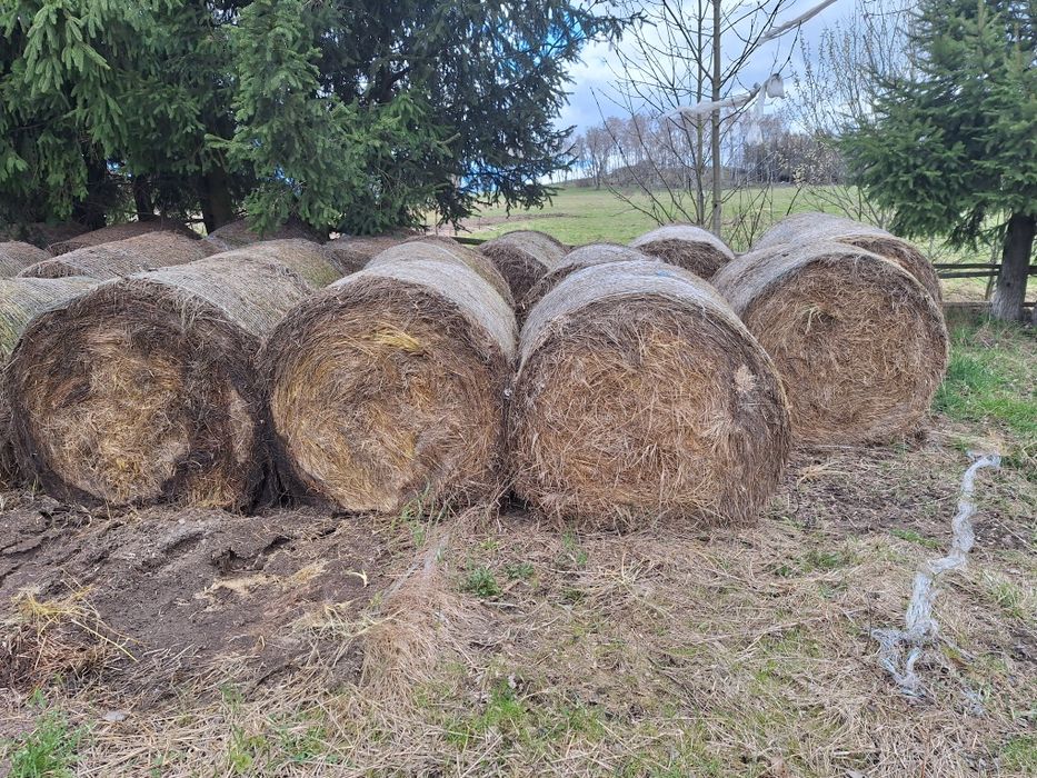 Sprzedam  siano.