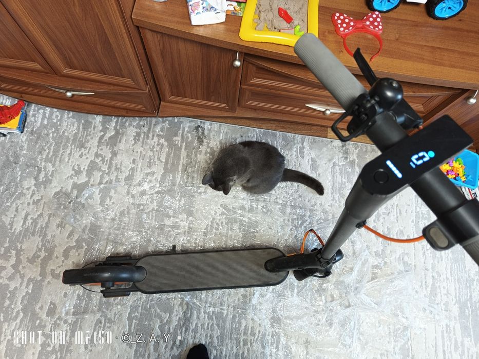 Электросамокат Xiaomi Electric Scooter 4 Go