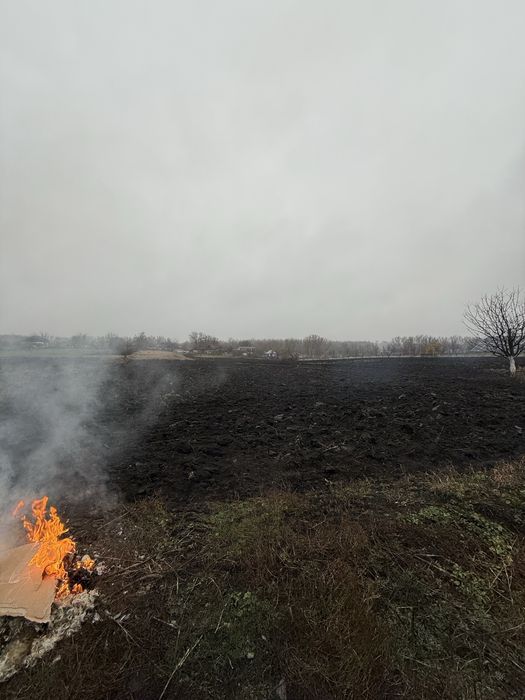 Продається будинок у місті Липовець