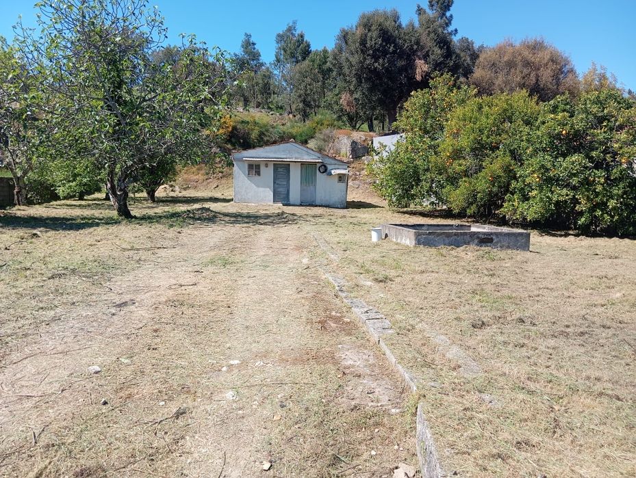 Terreno em Pedrogao Pequeno