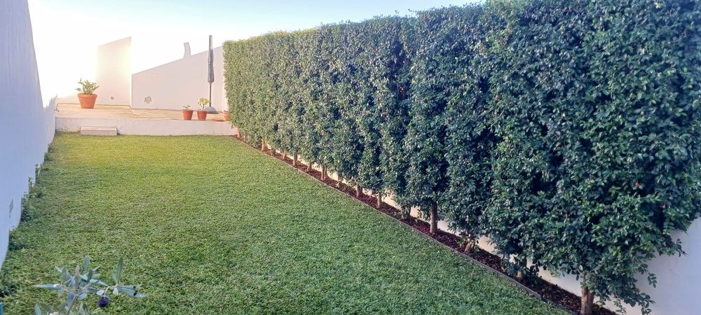 Serviços jardinagem