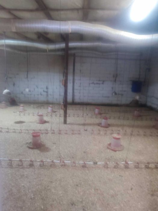 Оренда ферми з обладнанням і опаленням у Броварському районі