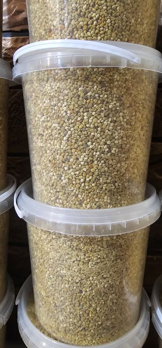 Пилок бджолиний весняний