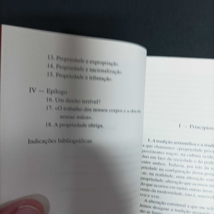 Propriedade Privada  Miguel Nogueira de Brito