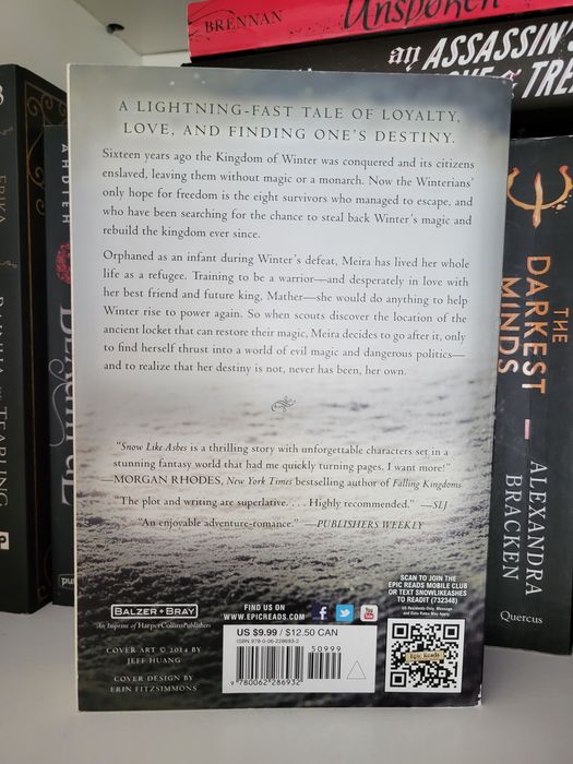 Livro Snow Like Ashes de Sarah Raasch