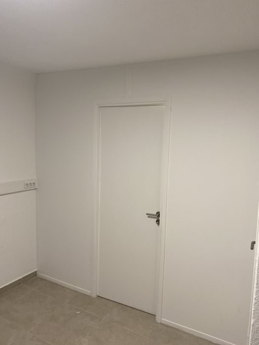 Pintor, Montagem de tectos/divisórias pladur Profissional - Português