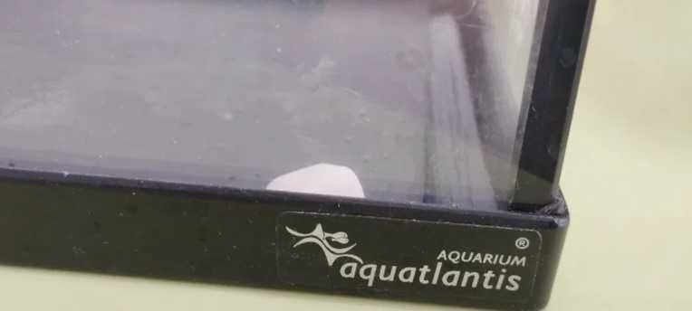 Aquário Aquatlatins