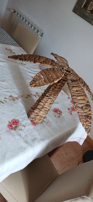 Palmeira de Palha