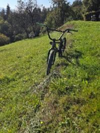 Bmx rower wyczynowy