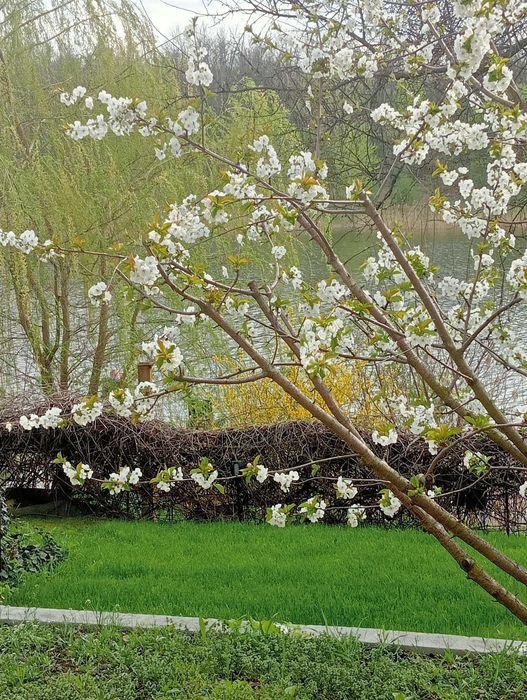 дом на берегу озера правый берег Днепра