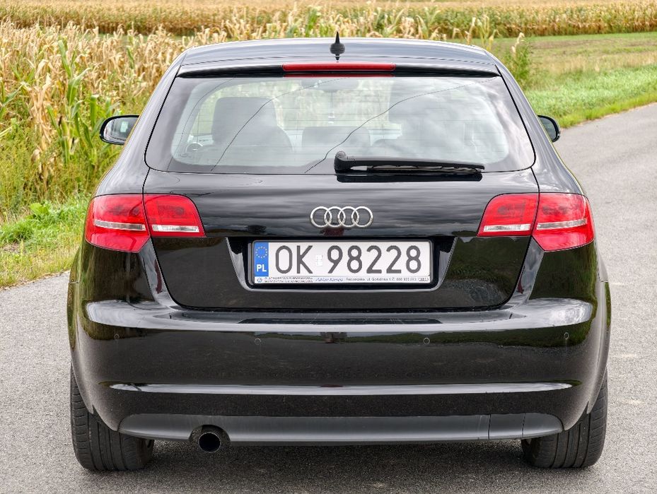 Audi A3 8P 2.0 TDI DSG