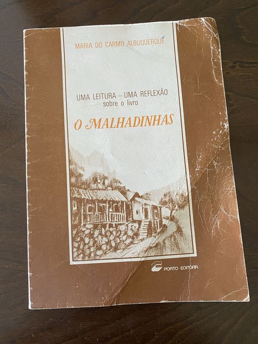 Uma leitura - Uma reflexão sobre o livro o Malhadinhas