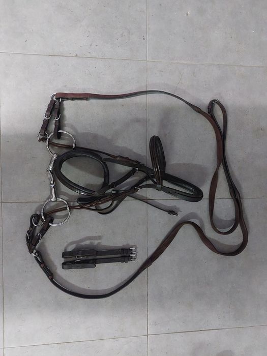 Cabeçadas/ Peitorais/ Gamarra