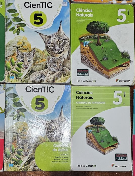 Manuais e cadernos de atividades 5°ano