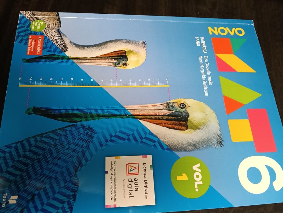 Manuais/ livros 6°ano