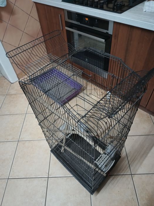 Klatka dla papug