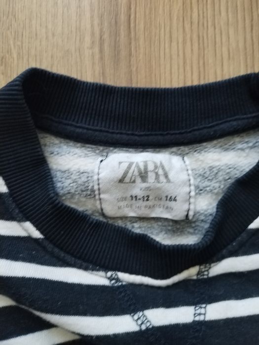 Кофта, світшот Zara, до 164 см
