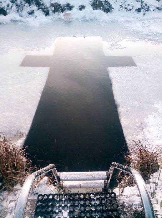 Dimerwood. Оренда котеджів під Києвом