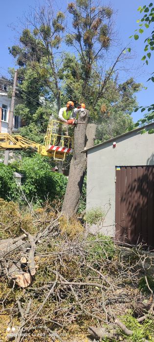 Покіс трави кущів,Професійно