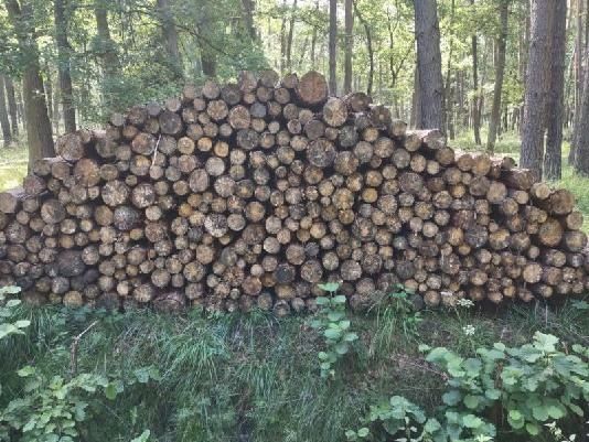 Stemple budowlane, Słupki ogrodzeniowe Płot drewniany