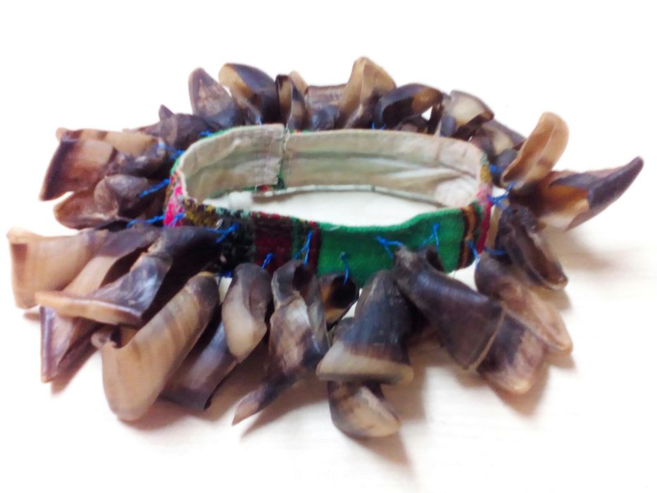 Goat Claw Sauce.64286586425859122