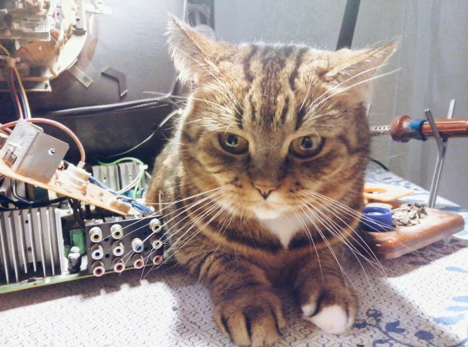 Ремонт телевизоров