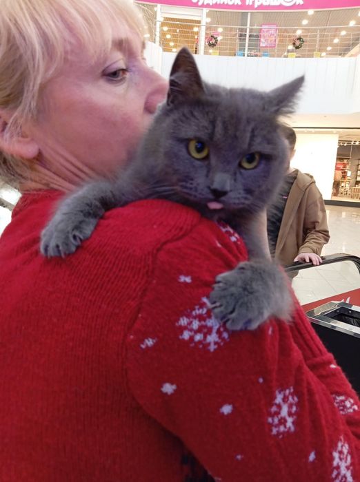 Красуня шукає свою сім'ю.