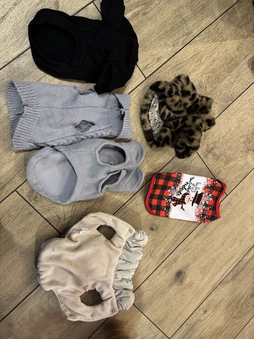 Одежда для собак