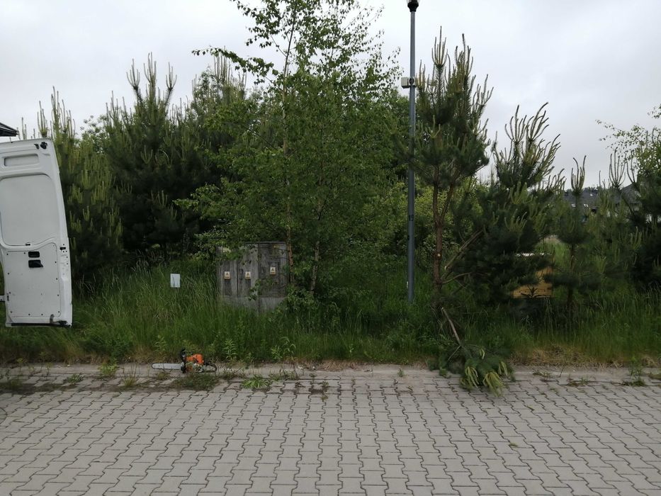 Rozbiórki stodół,wycinki drzew,wywóz drewna,sprzatanie