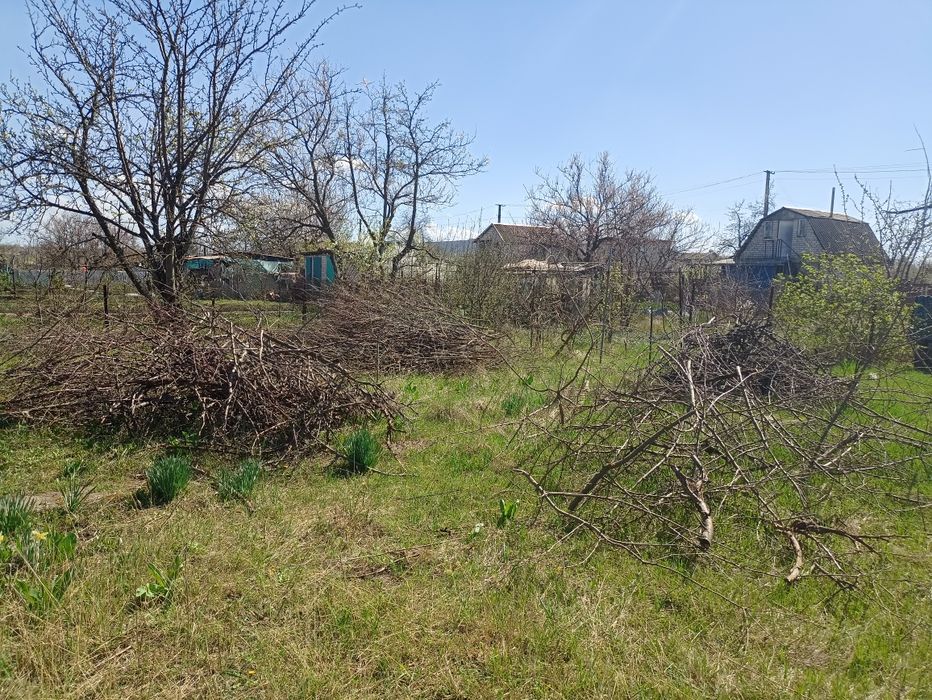 Подрібнювач гілок, измельчитель, дробилка для веток, оренда (аренда).