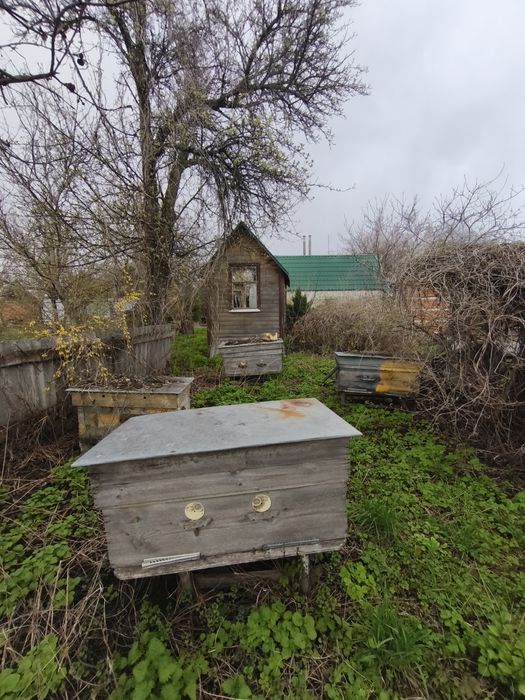 Продам будинок с.Северинівка,ідеально для пасіки і дачі