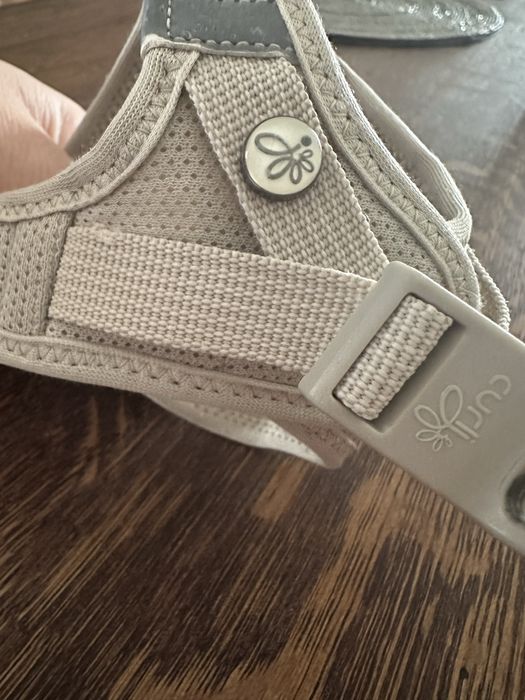 Szelki Curli Chihuahua