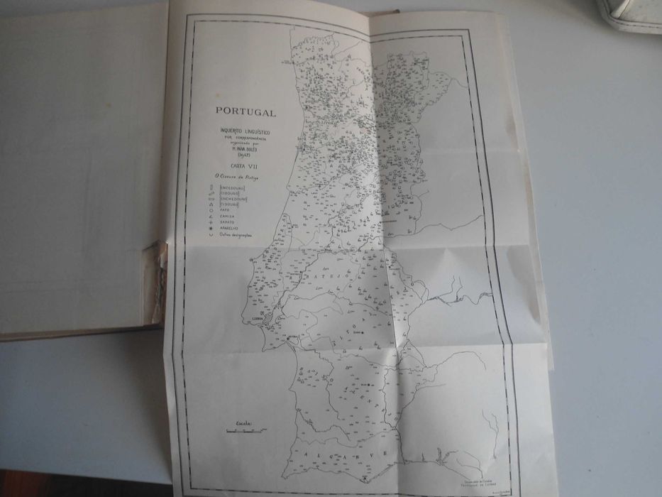 Coisas e palavras por José Gonçalo C Herculano de Carvalho