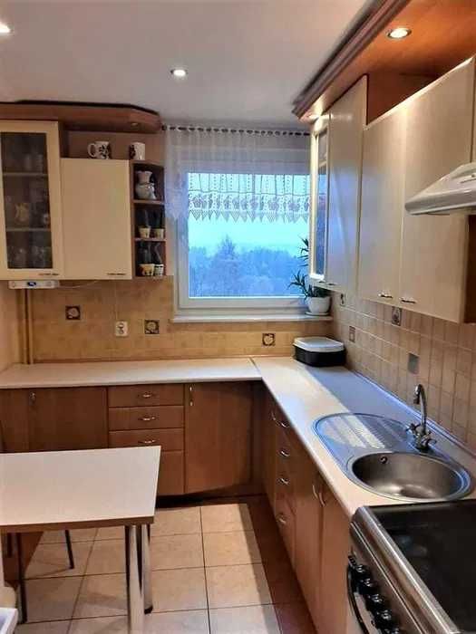 mieszkanie do wynajęcia 64m ul Lelewela