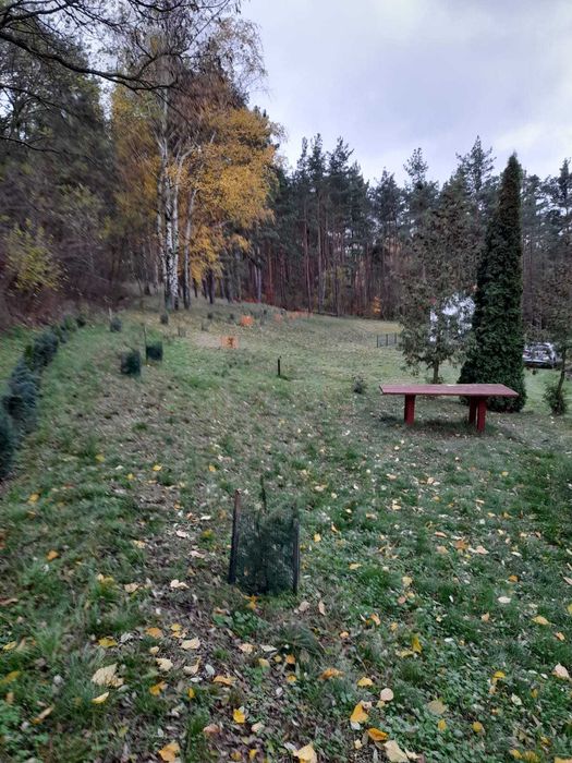 Domek z działką 1940 m2