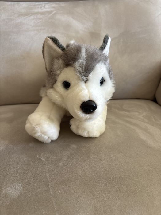 Śliczna maskotka szczeniak husky długość ;34cm