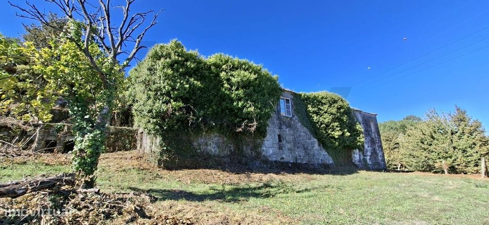 Quinta/Herdade em Tarouquela, Cinfães