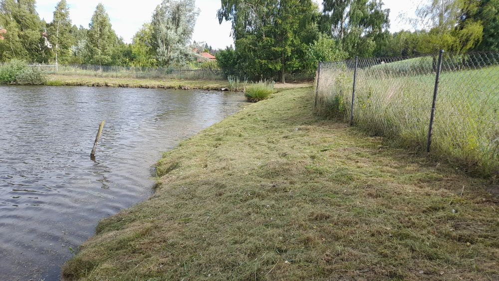 Koszenie traw, działek, dojazdow, nieużytków