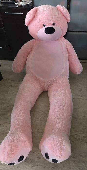 Miś pluszowy gigant XXL