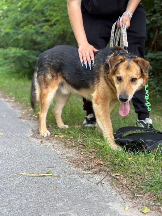 Najwspanialszy Ege szuka domu!