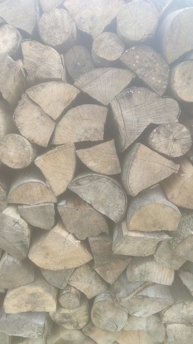 Продам дрова бук сирі сухі