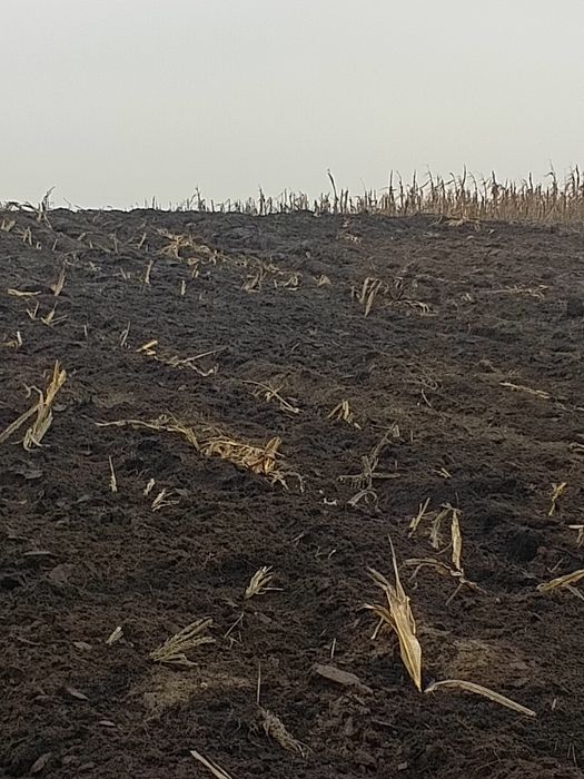 Плуг.    плн 3 35 торг