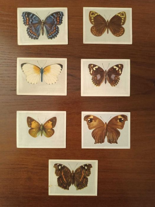 Coleção antiga de cromos de borboletas Sul-Africanas